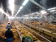 Tobacco Humidification - The Misting Company