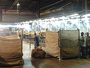 Tobacco Humidification - The Misting Company